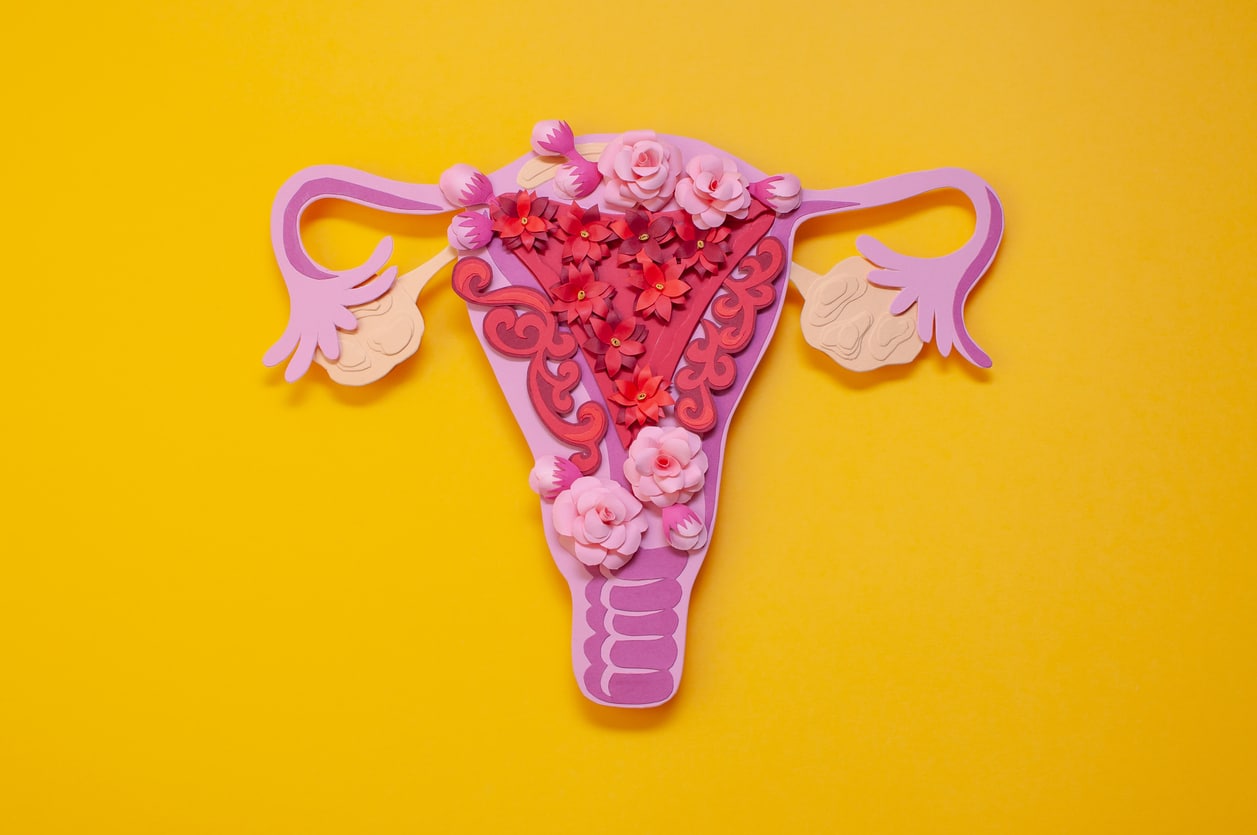 A cartoon image of a uterus decorated with beautiful flowers on a yellow background.